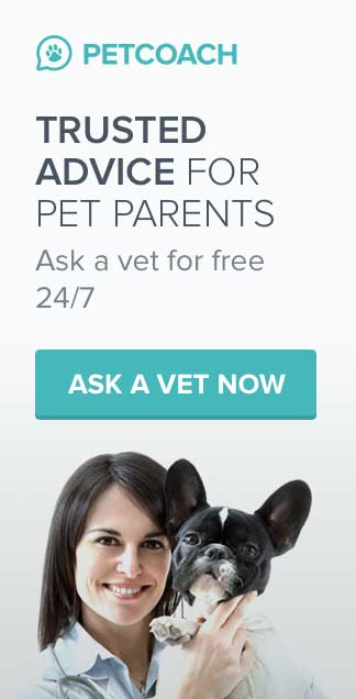Ask a Vet for Free 24/7